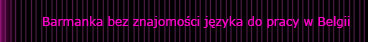 barmanka bez znajomosci jezyka