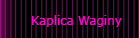KaplicaWaginy