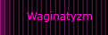 Waginatyzm